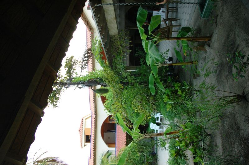 bz20050701_154314.jpg