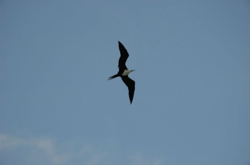bz20050701_162310.jpg