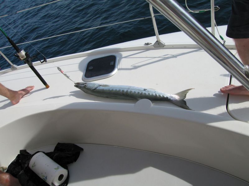 bz20050704_133836.jpg