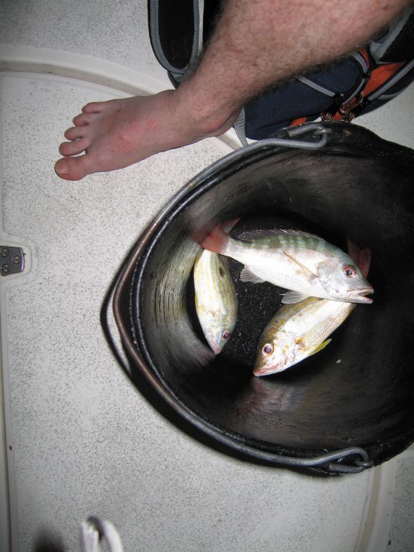 bz20050704_215010.jpg