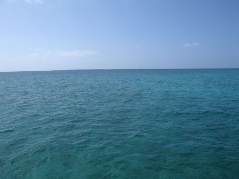 bz20050705_121558.jpg