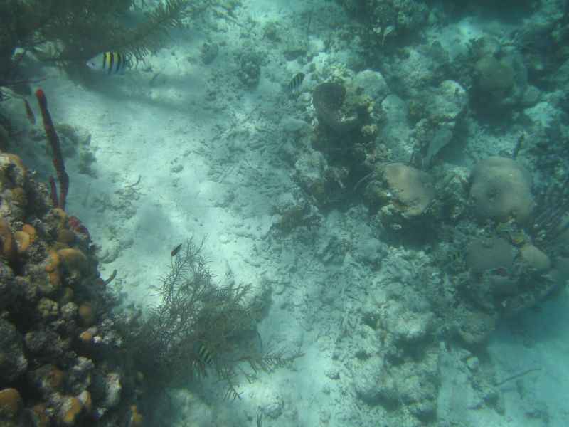 bz20050706_100420.jpg