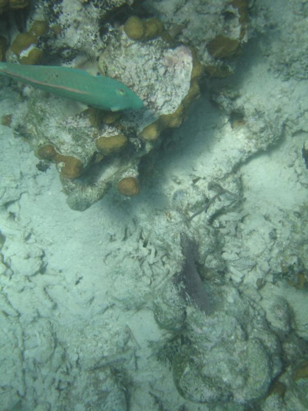 bz20050706_100542.jpg