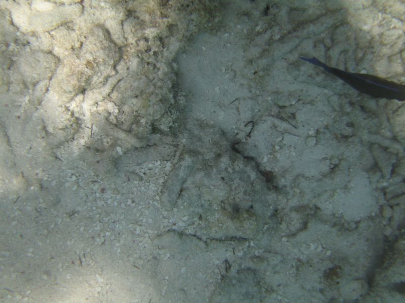 bz20050706_100644.jpg