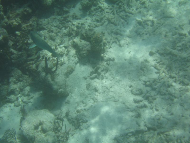 bz20050706_101116.jpg