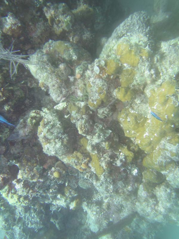 bz20050706_101344.jpg