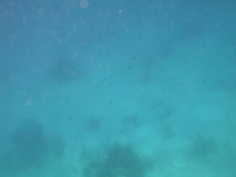 bz20050706_101424.jpg