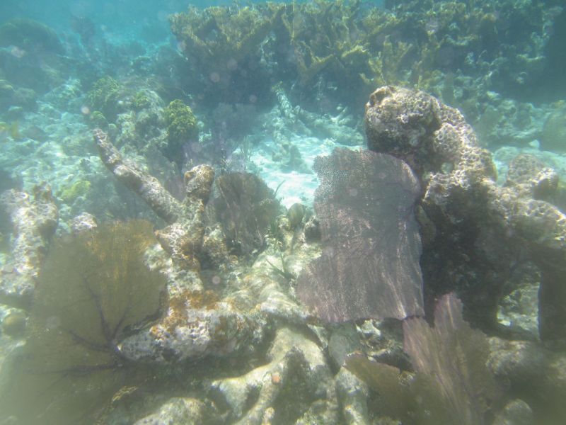 bz20050706_101758.jpg