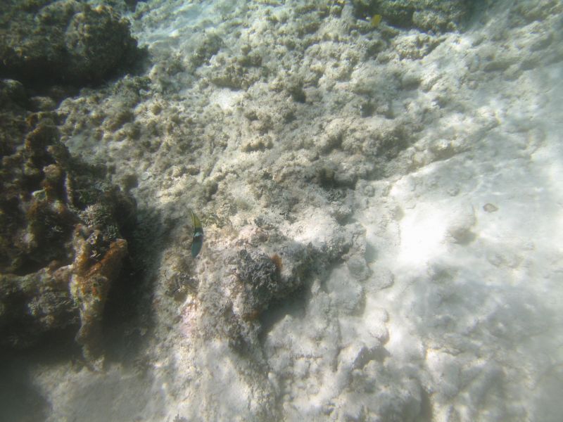 bz20050706_101834.jpg
