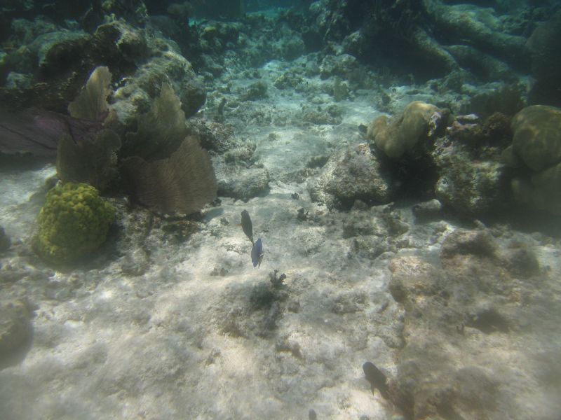 bz20050706_101936.jpg