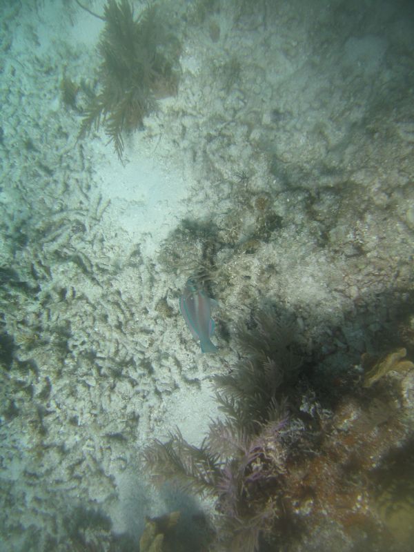 bz20050706_102046.jpg