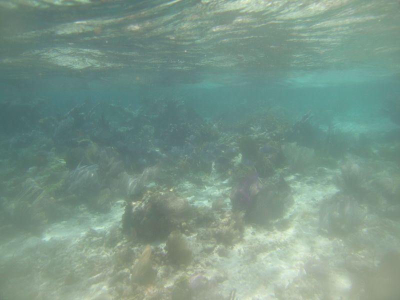bz20050706_103516.jpg