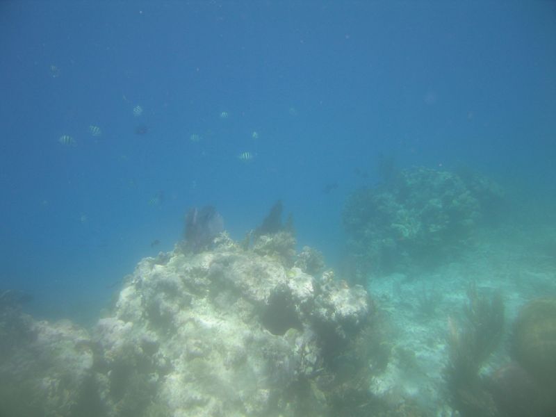 bz20050706_103802.jpg