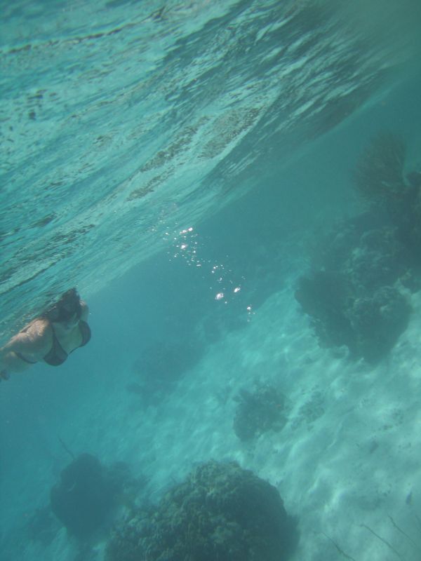 bz20050706_105716.jpg