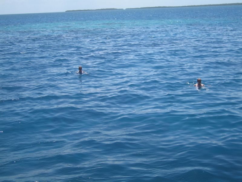bz20050706_115150.jpg