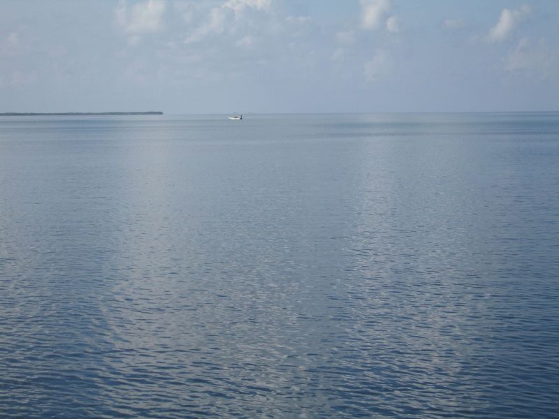 bz20050707_064908.jpg