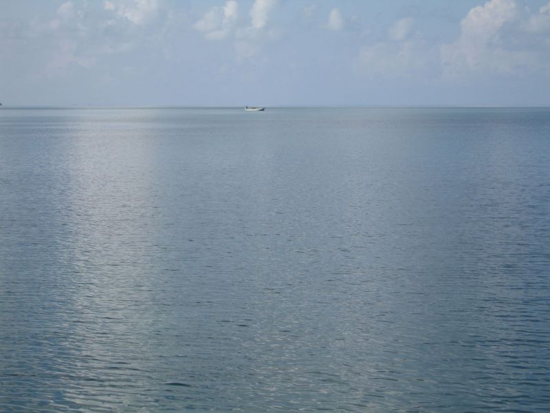 bz20050707_065644.jpg