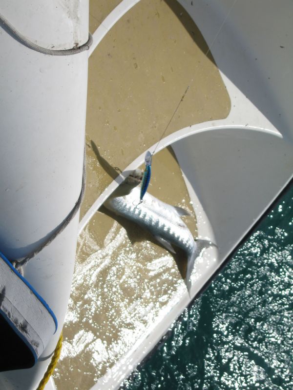 bz20050707_142956.jpg