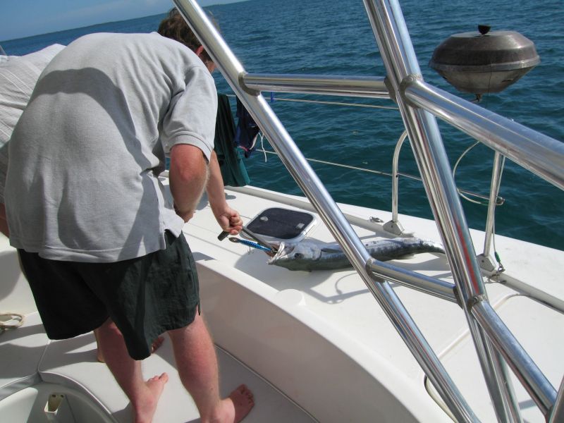 bz20050707_143146.jpg