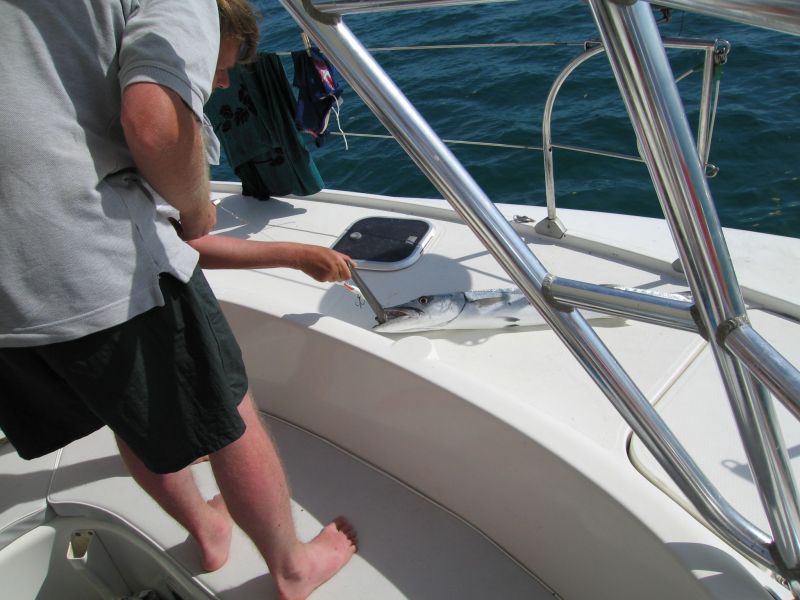 bz20050707_143154.jpg