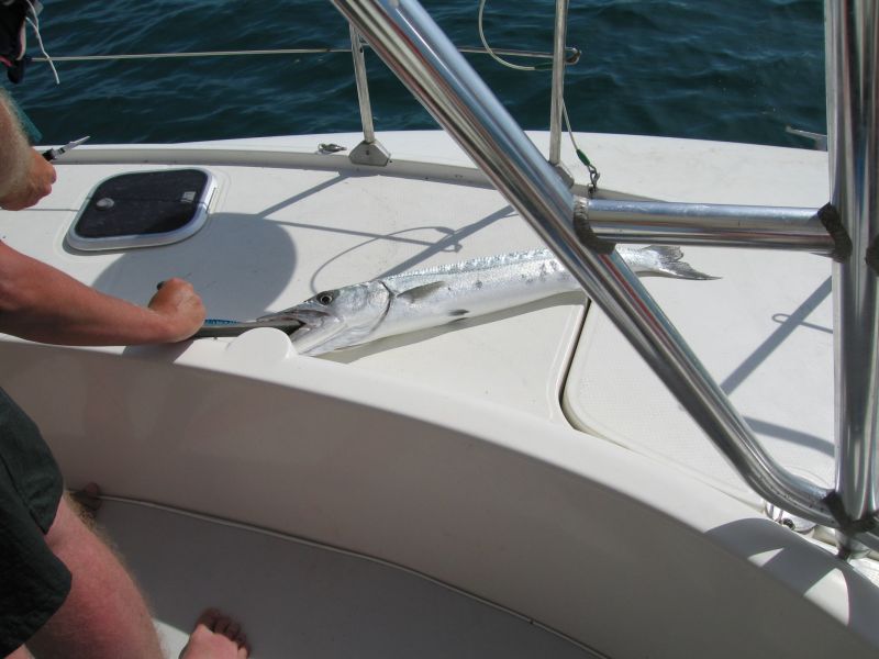 bz20050707_143210.jpg