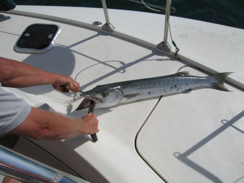 bz20050707_143252.jpg
