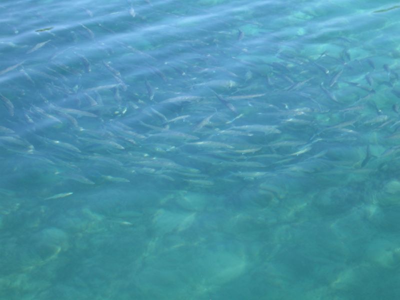 bz20050707_155256.jpg