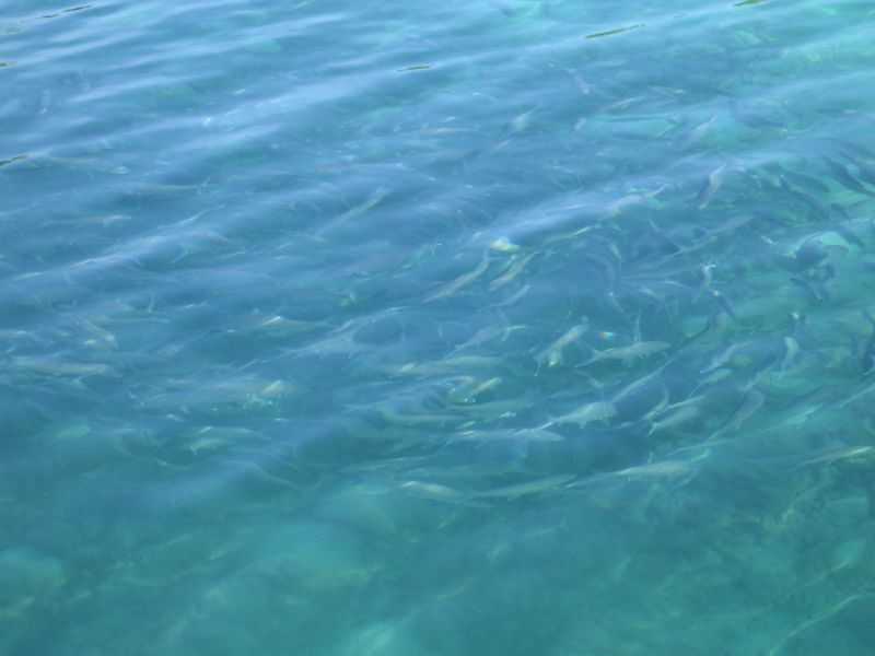 bz20050707_155316.jpg
