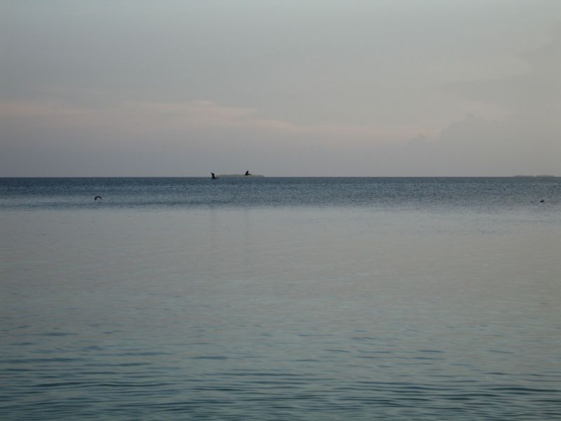 bz20050707_165722.jpg