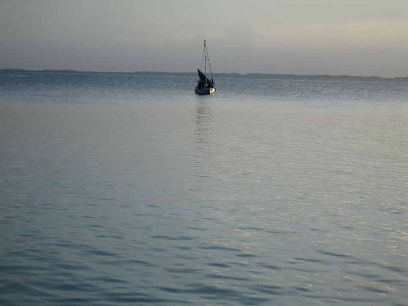 bz20050707_165800.jpg