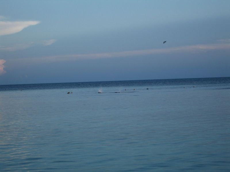 bz20050707_170208.jpg