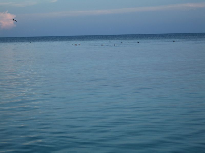 bz20050707_170218.jpg