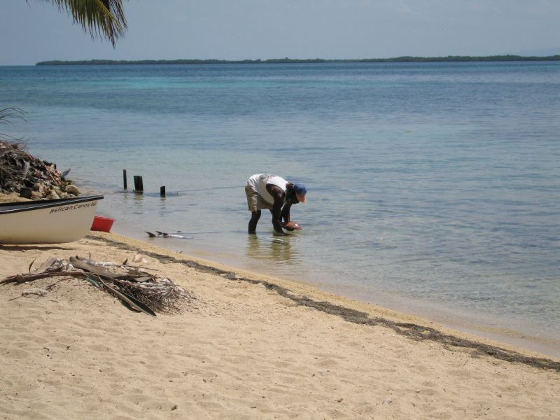 bz20050709_122440.jpg