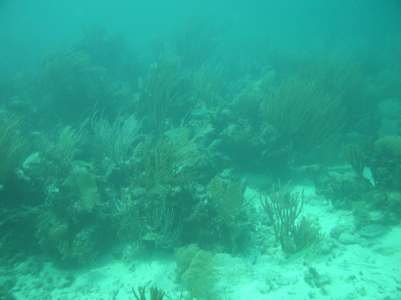 bz20050709_132440.jpg
