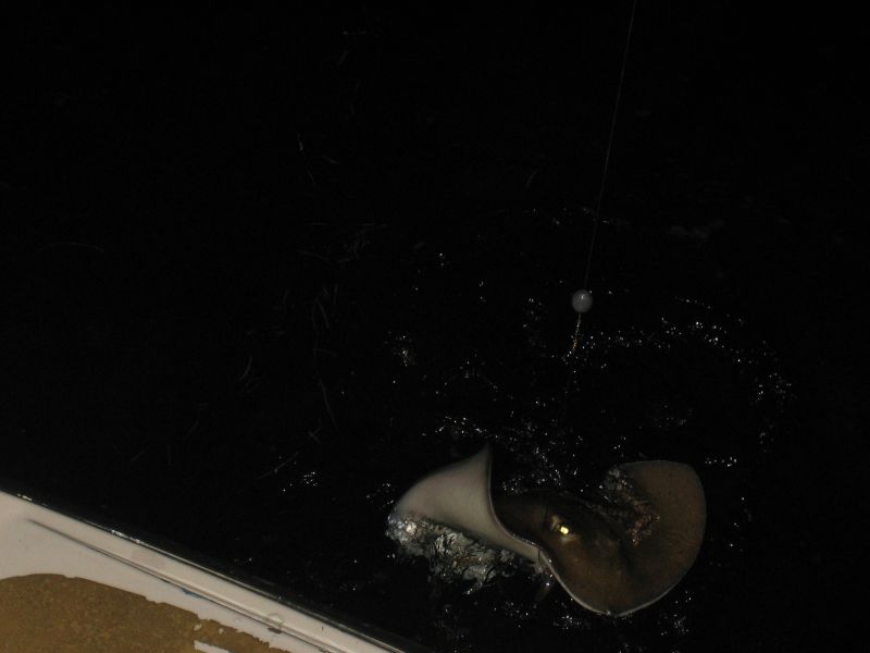 bz20050711_221710.jpg
