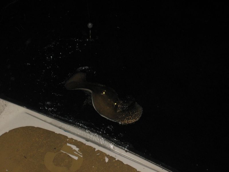 bz20050711_221722.jpg
