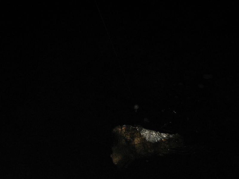bz20050711_221918.jpg