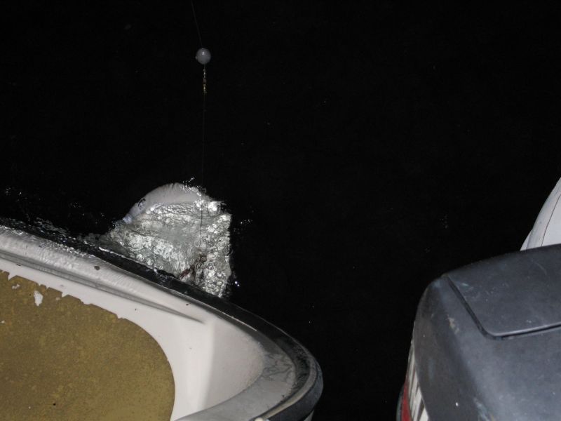 bz20050711_231934.jpg