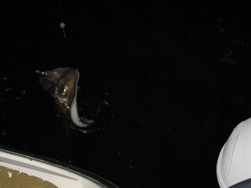 bz20050711_232018.jpg