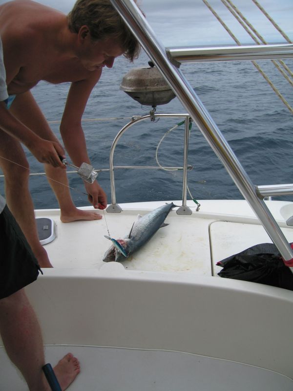 bz20050712_100434.jpg