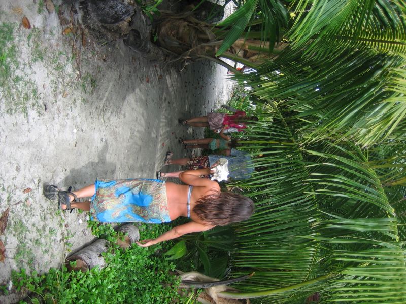 bz20050712_124616.jpg