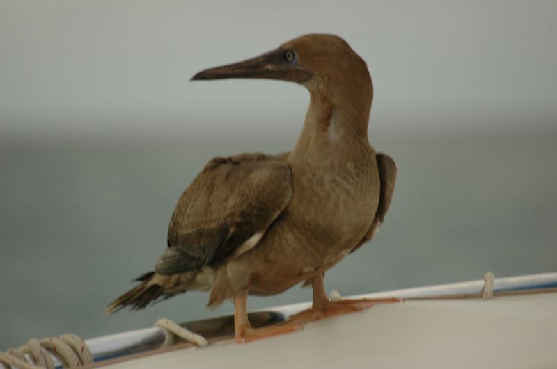 bz20050712_160658.jpg