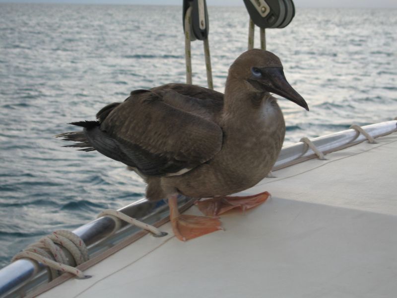 bz20050712_171116.jpg