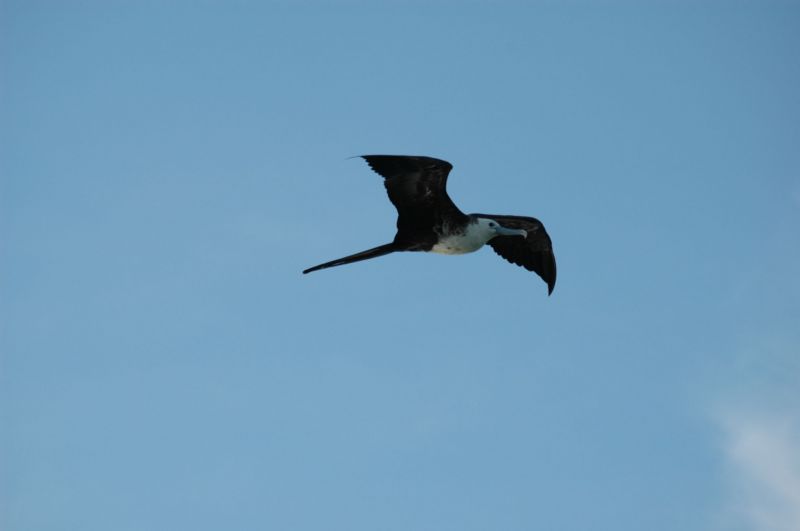 bz20050713_145208.jpg