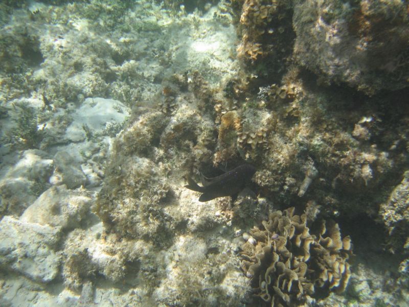 bz20050714_124956.jpg