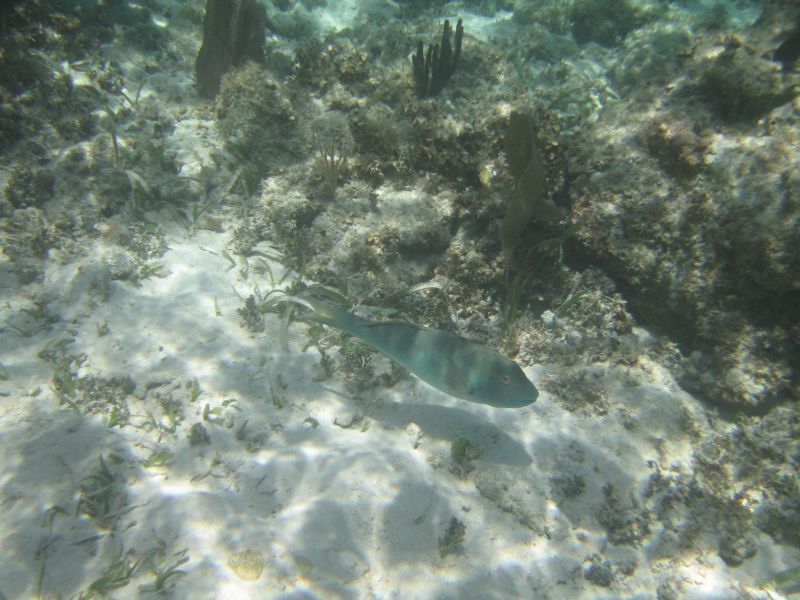 bz20050714_125012.jpg
