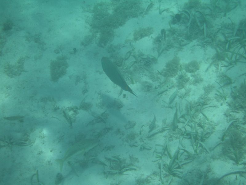 bz20050714_125146.jpg