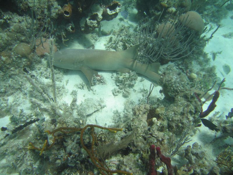 bz20050714_125244.jpg