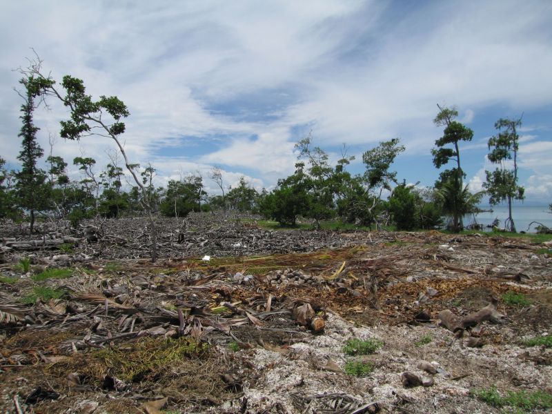 bz20050715_111352.jpg