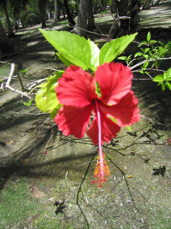 bz20050715_112036.jpg